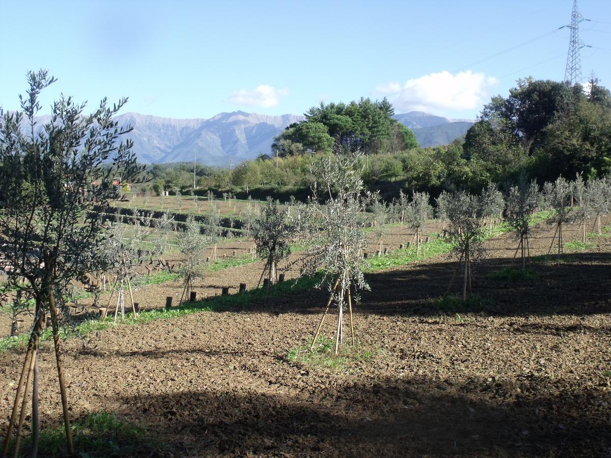 B&B Podere Montese Villafranca in Lunigiana Luaran gambar