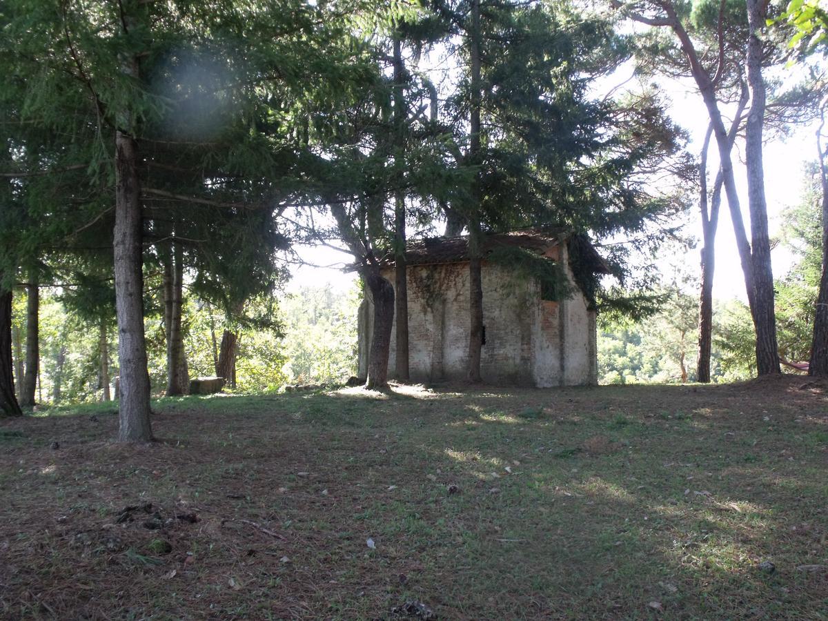 B&B Podere Montese Villafranca in Lunigiana Luaran gambar